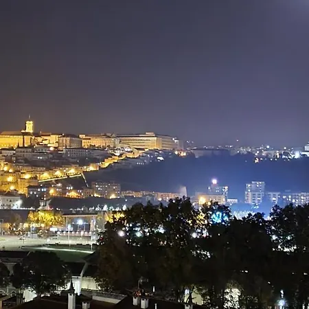 Coimbra's Black & White