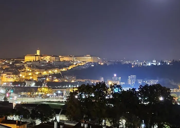 Coimbra's Black & White